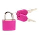 thumbnail image 1 of Mini candado antirrobo con llave, pequeño candado para caja de herramientas, diario y equipaje, color rosa Rosa roja, 1 of 6