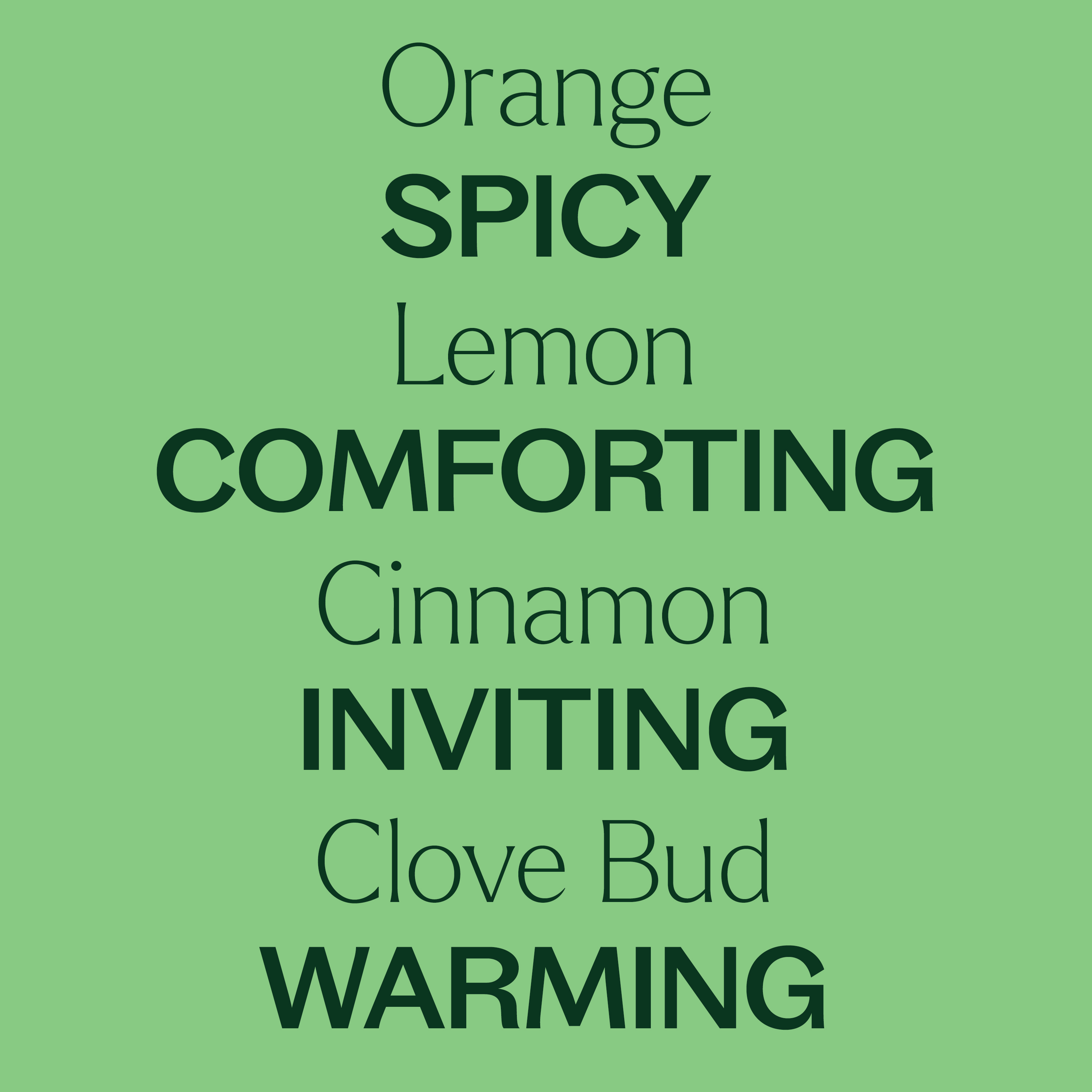 Plant Therapy Holiday Season Essential Oil Blend 30 mL (1 oz) 100% Pure, Undiluted, Natural Aromatherapy