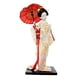 thumbnail image 2 of Tongina - Escultura de geisha japonesa de 30 cm, estilo asiático, para oficina, estantería, mesa, decoración del hogar, color blanco y dorado, 2 of 8