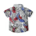 thumbnail image 5 of URMAGIC Toddler Baby Boy Summer Short Sleeve Button Down Shirt & Casual Shorts Set 1-7 Years, 5 of 12