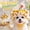 Yellow S, variant on Pet Knitted Flower Hat, Yellow Ruffled Crochet Warm Pet Headwear, 1 Piece Adjustable Neck Tie Cat Small Dog Accessories, For Daily Wear Birthday Party Photo Prop