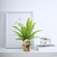 thumbnail image 4 of Skull Planters Pots Head, Unique Head Planter for Indoor Plants, Funny Face Flower Pot, Plant Pots for Outdoor Garden Deco and Home Art Decoration, 4 of 5