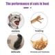 thumbnail image 3 of Pet Sex Banning Liquid for Cats and Dogs spray, 3 of 5