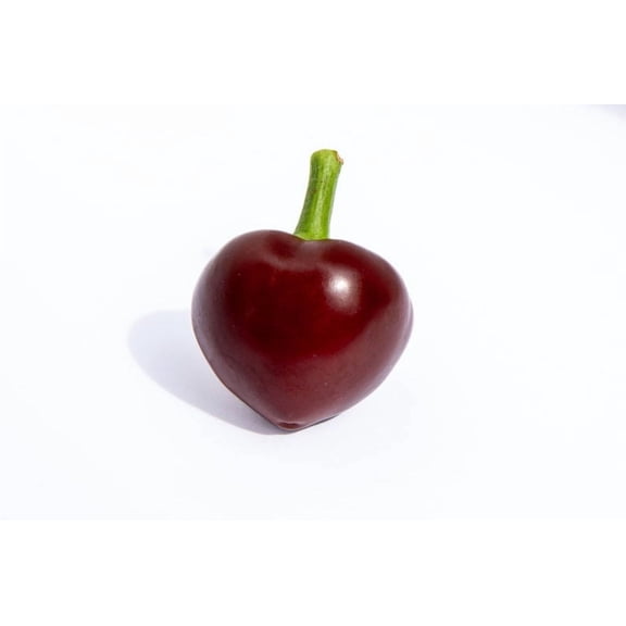 Chocolate Cherry Stuffer Heirloom Hot Pepper Premium Seed Packet