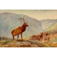 thumbnail image 2 of Rungius, Carl 14x11 Black Modern Framed Museum Art Print Titled - Bull Elk, 2 of 4