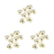 thumbnail image 1 of Artesanías de flores secas Monstrate 12 Uds estilo Simple tipo 8, 1 of 6
