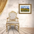 thumbnail image 3 of Paulson, Don 32x23 Gold Ornate Wood Framed with Double Matting Museum Art Print Titled - Colorado Fall aspens and mountain, 3 of 4