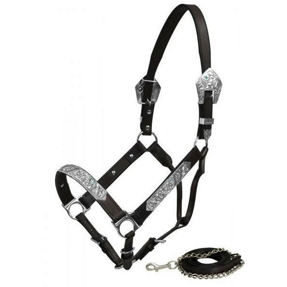 Showman Leather Show Halter w/ Engraved Silver & Aqua Rhinestones