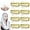 Gold, variant on 8 Pack Clips with Safety Pins, Strong Chunni Grip Dupatta Setting Clips Indian for Woman Black