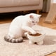thumbnail image 1 of Ireezec Elevated Cat Food and Water Bowl, Anti-Vomit Slow Feeder, Tilted Design for Neck Support, Whisker Friendly Wide Shallow Dish, Non-Slip Ba, Large Capacity Pet Feeding Station, 1 of 6