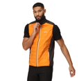 thumbnail image 4 of Regatta - Chaleco Halton VII para Hombre (Pimienta Naranja, Negro), 4 of 4