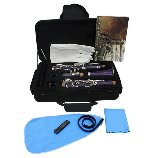 17 Key Bb Clarinet Set, Professional Woodwind Instrument, Lightweight ABS Design with Gloves, Cleaning Cloth, Screwdriver & Reed Storage Case for Easy Maintenance