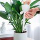 thumbnail image 1 of MTBLYS Sistema de riego por goteo automático: dispositivo de riego lento ajustable con estacas de infiltración para plantas en maceta|jardín|cestas colgantes|invernadero y jardineras exteriores, 1 of 6