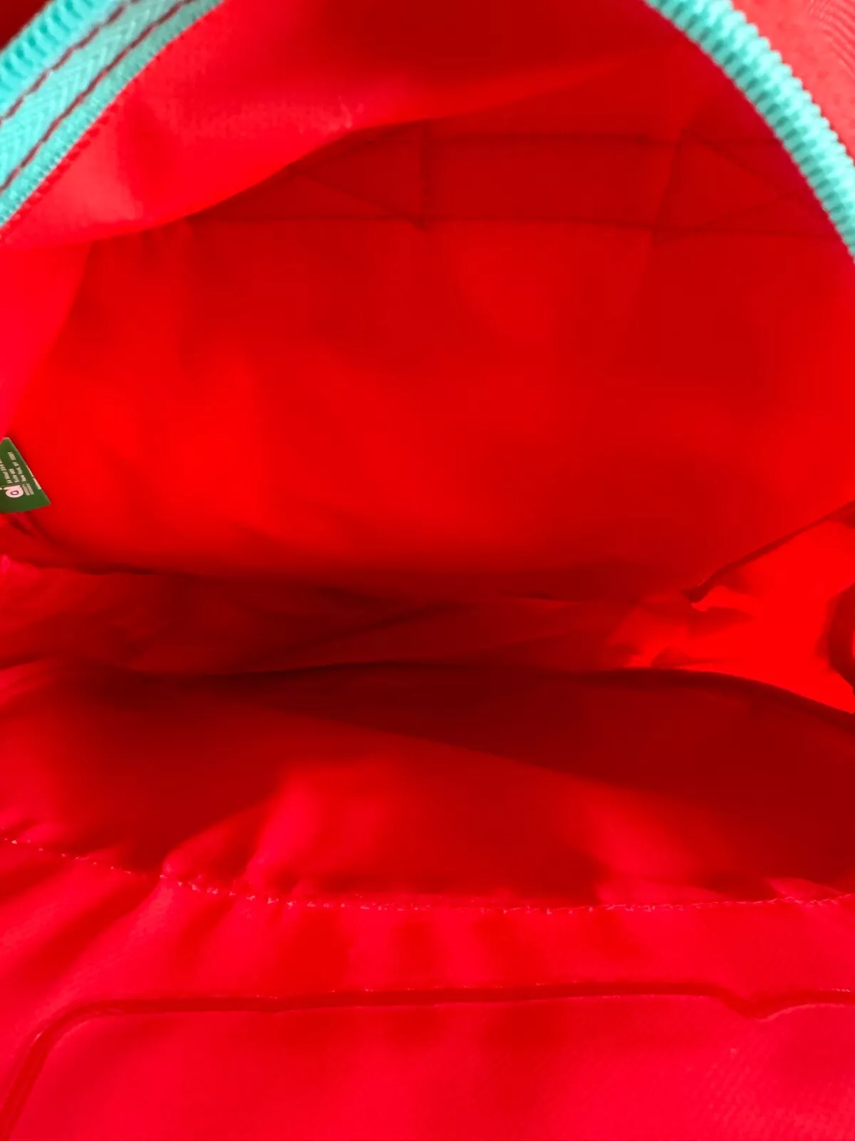 Sesame Street Elmo 16" Canvas Large School Backpack With 2 Mesh Pockets