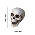 thumbnail image 3 of OAVQHLG3B Halloween Skull Head Decor, Mini Plastic Human Head Skeleton Statue Realistic Skull Props for Halloween Bar and Table Creepy Atmosphere, Spooky Yard Decor, 3 of 5