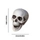 thumbnail image 3 of Halloween Skeletons Plastic Realistic Fake Simulation Human Skull HeadBone Model Halloween Prop Realistic Mini Skeleton Spooky Halloween Decoration, 3 of 5