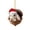 Style-9, variant on 1PC Animal Christmas Ornaments 2D Acrylic Seasonal Hangable Decorations for Christmas Tree Home Office Living Room Garden Front Door Wall Mantel Window Wreath,3.14 Inch
