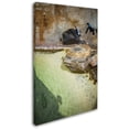 thumbnail image 2 of Trademark Fine Art "Dive Break" Canvas Art by Yale Gurney, 2 of 3