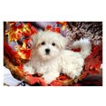 thumbnail image 2 of Cuadros Decorativos Perro diamante bordado 5d diamante DIY pintura Animal punto de cruz Ehuebsd  embutido en tela, 2 of 8
