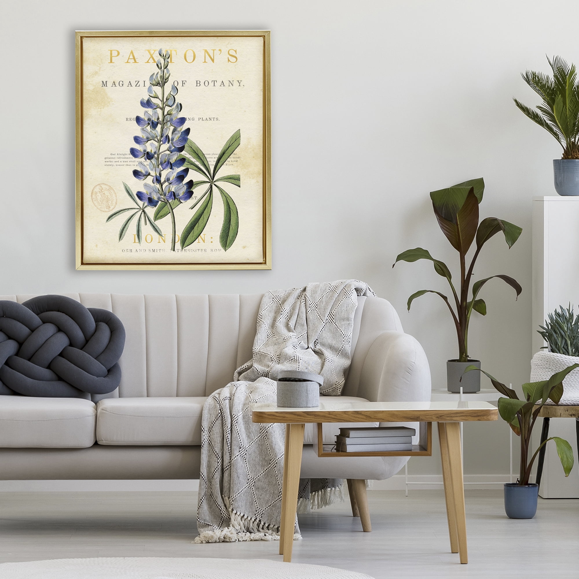 Stupell Industries Natural Botany Lupine Gold Framed Floater Canvas Wall Art, design by Susan Arnot