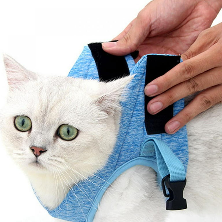 QZ-iTry Cat Harness and Leash - Ultra Light Escape Proof Kitten Collar Cat  Walking Jacket with Running Cushioning Soft and Comfortable Suitable for