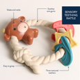 thumbnail image 3 of Sonajero de silicona Teether Itzy Ritzy Highland Cow, más de 3 meses, 3 of 6