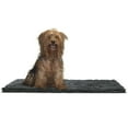 thumbnail image 1 of Furhaven Pet Dog Mat - Muddy Paws Absorbent Chenille Shammy Bath Towel and Food Mat Rug for Dogs and Cats, Charcoal (Gray), Medium, 1 of 8