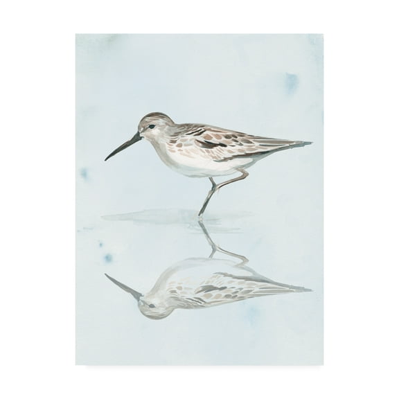 Trademark Fine Art 'Sandpiper Reflections II' Canvas Art by Jennifer Paxton Parker