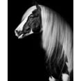 thumbnail image 2 of PHBurchett 12x14 Gold Ornate Wood Framed with Double Matting Museum Art Print Titled - Equine Portrait VII, 2 of 4