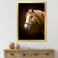 thumbnail image 3 of Designart 'Brown Horse With White Nose Portrait' Farmhouse Framed Art Print, 3 of 4