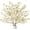 Z-white, variant on Cherry Blossom Branches, Faux Silk Cherry Blossom Flowers, Long Stems Fake Flowers Vase Arrangement for Home Wedding Decor (4PCS, Champagne, 41")