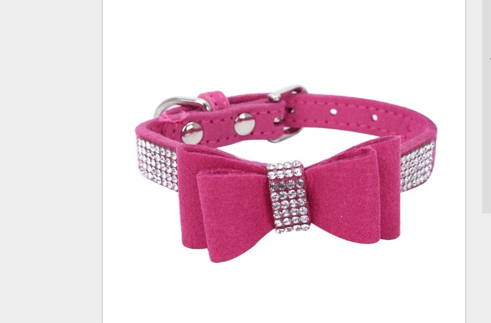personalised diamante dog collars