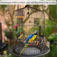 thumbnail image 3 of Bird Ladder Bridge, 28 x 4 inch, Log and Food Dye, for Small to Medium Sized Birds, 2 Piece, 3 of 5