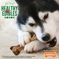 thumbnail image 5 of Nylabone Healthy Edibles WILD All-Natural Long Lasting Chew Treats Venison Large (1 Count), 5 of 13