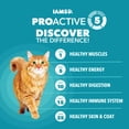 thumbnail image 5 of Iams Proactive Health Adult Indoor Weight & Hairball Care Cat Food, Chicken and Turkey 7 lb Bag (Pack of 48), 5 of 9