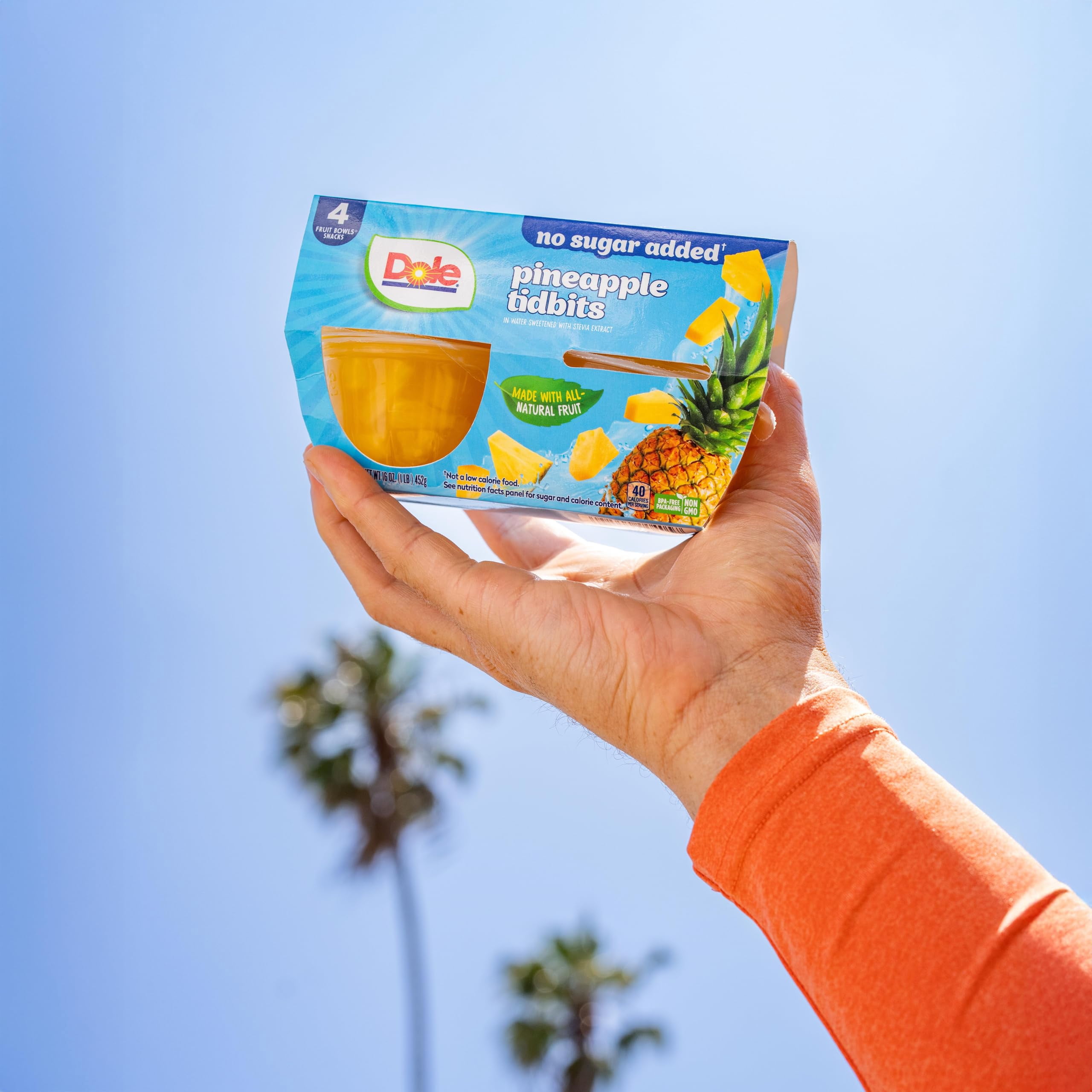 Dole Pineapple Tidbits with No Sugar Added - Dole Fruit Bowls Snacks