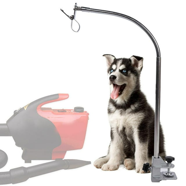 Table de Toilettage pour Animaux en Acier Inoxydable, Support de Séchage à Clip en Acier Inoxydable Argenté 1M, 1 PCS pour Chien