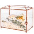 thumbnail image 1 of Tarjetero de cristal WHSLILR de 12,6 pulgadas con cierre para bodas y recepciones, 1 of 5