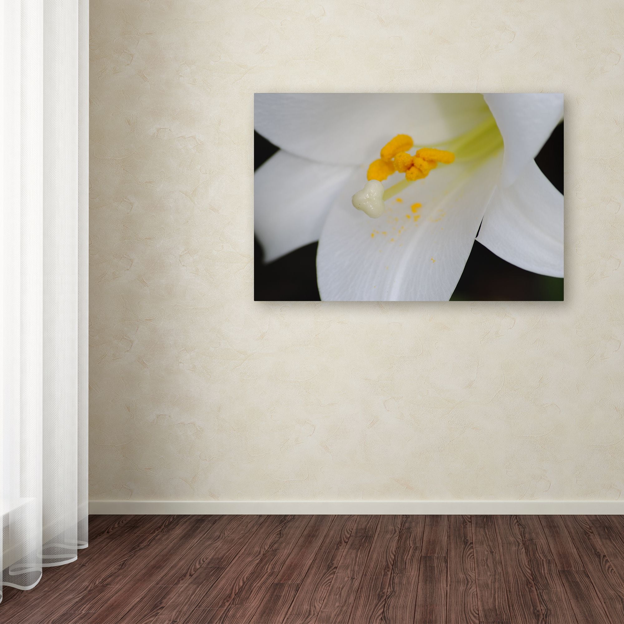 Trademark Fine Art "One Word" Canvas Art by Monica Mize
