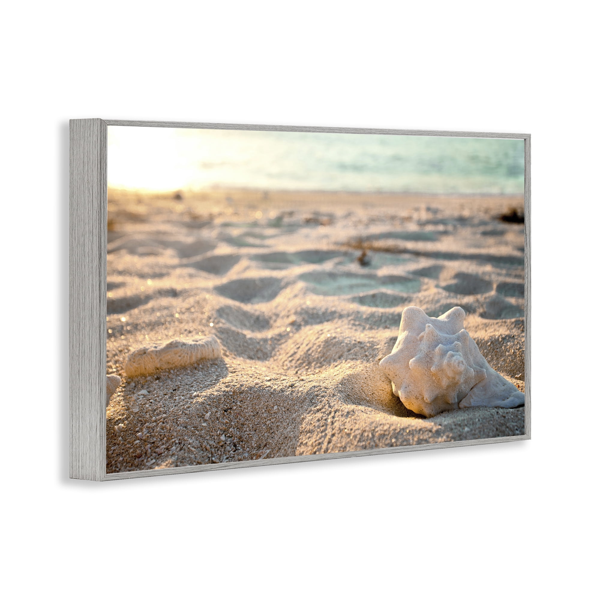 Stupell Industries Conch Shell in Sand Coastal Photography Gray Framed Art Print Wall Art, 18 x 12