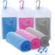 thumbnail image 1 of Toalla de refrigeración Amgico, toallas deportivas de microfibra para fitness, toallas de refrigeración para cuello y cara, toalla fría superabsorbente para camping, senderismo, gimnasio, fitness, yoga, entrenamiento Zhivalor  WMZL-1787-5, 1 of 6