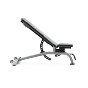 NordicTrack Adjustable Weightlifting Bench with Comfortable Padded Seat and Incline/Decline Functionality