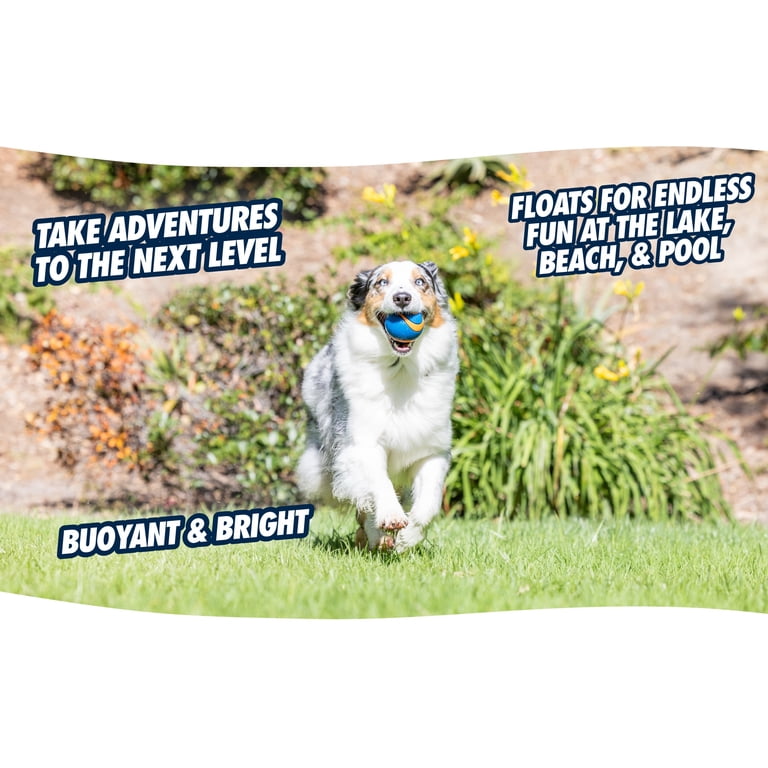 Chuckit! Fetch Medley Dog Ball Variety Pack, 3 Count photo 8
