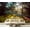 Color2, variant on Peel and Stick Wallpaper Autumn park Linden tree Modern Art Wall Mural Decor Self Adhesive and Removable 69in x 98in