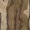 Mossy Oak Original Bottomland, variant on Rogers Men's Fowl Weather Puffy Jacket, Camo