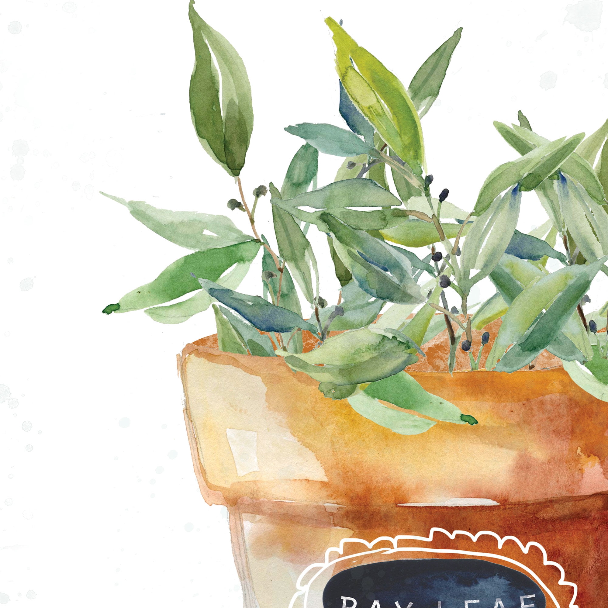 Masterpiece Art Gallery Potted Bay Leaf By Carol Robinson Canvas Art Print 12" x 12"