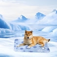 thumbnail image 4 of Summer Water Filled Gel Pads Are Reusable Pet Ice Pads For Dogs And Cats, 4 of 9