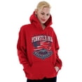thumbnail image 4 of Pennsylvania Patriot PA American Flag Hoodie Sweatshirt Women Men Brisco Brands S, 4 of 6
