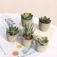 thumbnail image 4 of 5 Pack Potted Fake Succulents Pot Artificial Simulation Plants Sets for Home Kitchen Garden Office Wedding Party Room Decor Gift, 4 of 9