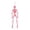 Pink, variant on 15.75 Inch Halloween Simulated Human Skeleton Hanging Decor,Halloween Colorful Full Body Skeleton Ornaments,Spooky Hanging Skeleton Prop for Haunted House Halloween Decorations